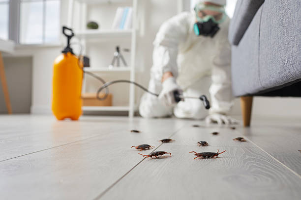 Commercial Kitchen Cockroach Control in Mount Hermon